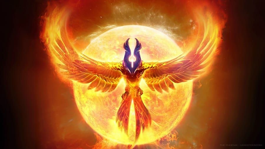 Profil de Selami